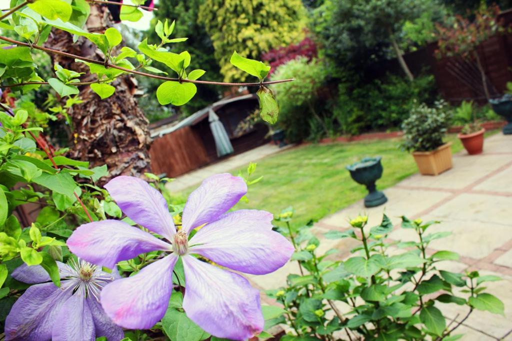 Gidea Park Hotel 3*